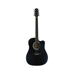 Fernando DG-100CE Acoustic Guitar